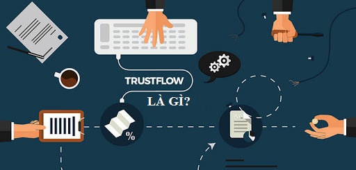 Khám phá những loại tín hiệu backlink quan trọng nhất