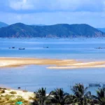Bien thien cam