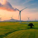 Cánh Đồng Điện gió